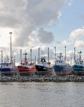 Shippagan